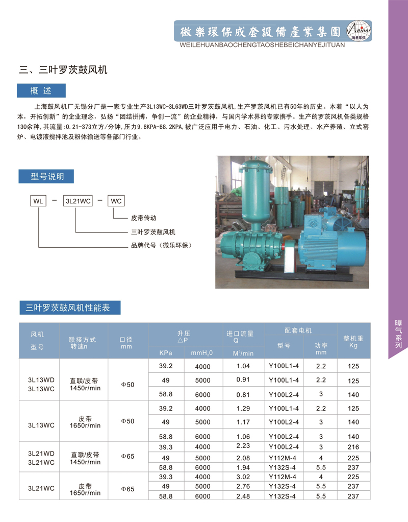 三叶罗茨鼓风机1.jpg