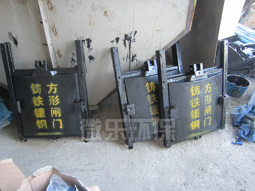 铸铁镶铜闸门1